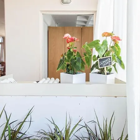 Summer Dream 3* Theológos