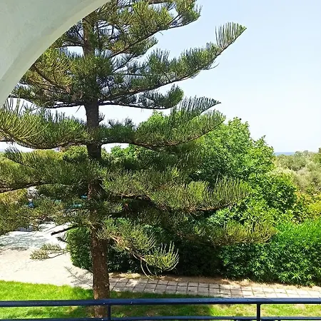 Summer Dream 3* Теологос