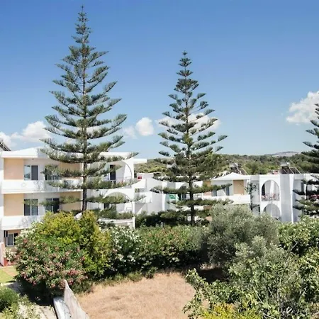 Summer Dream Theológosz