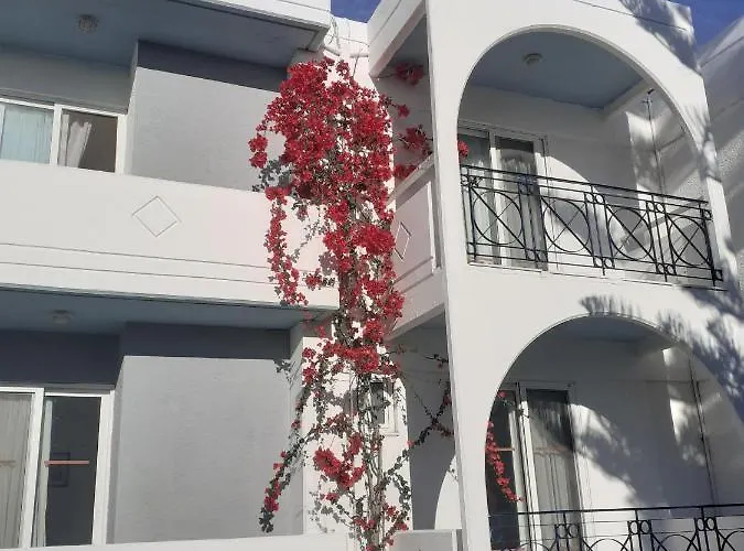 Summer Dream